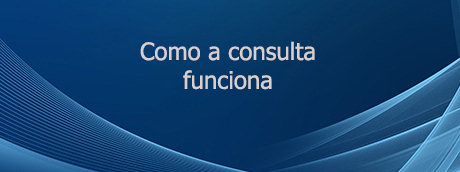 Como a consulta funciona